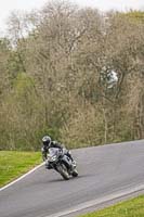 Evening Low_Mid Group Black Bikes